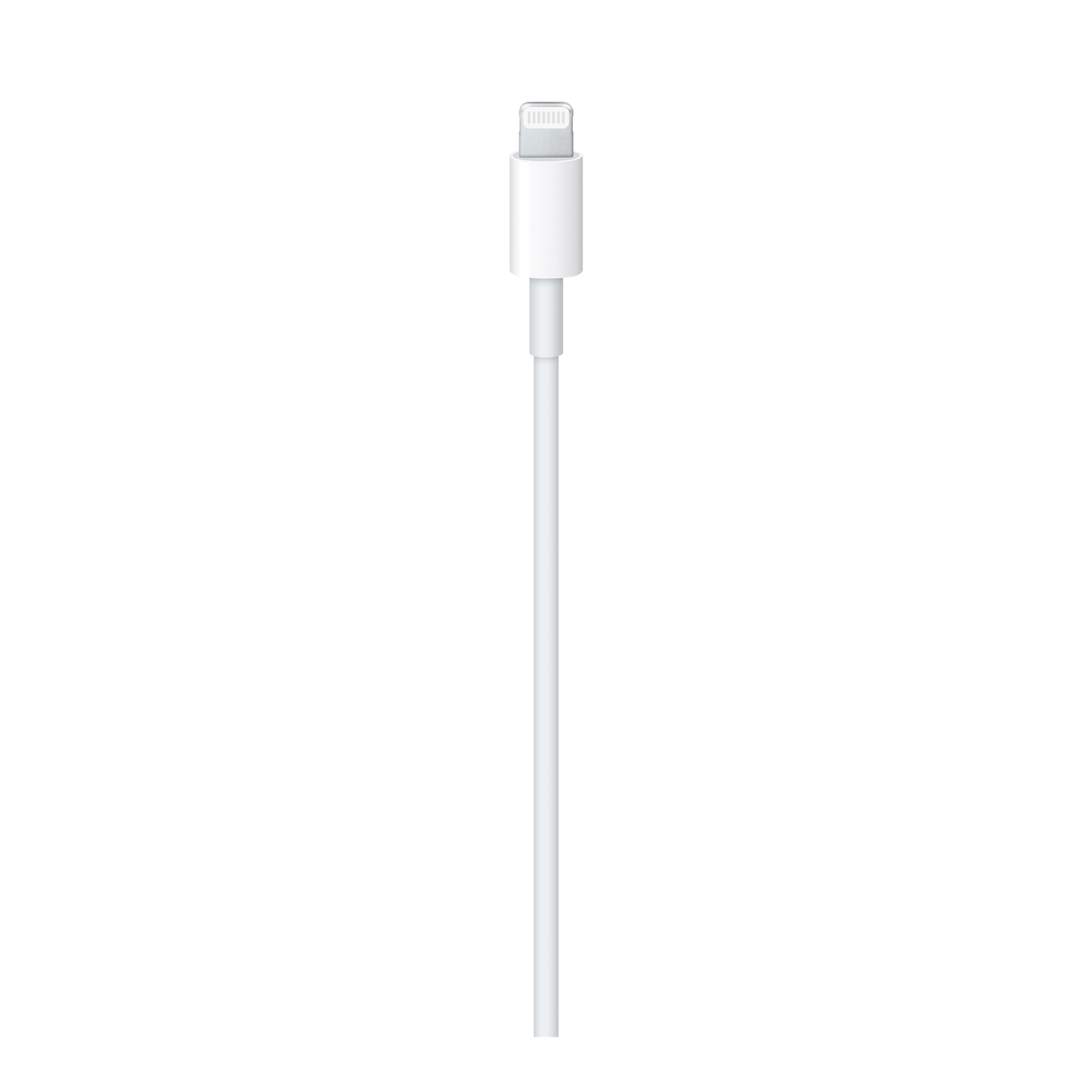USB-C to Lightning Cable (1m)