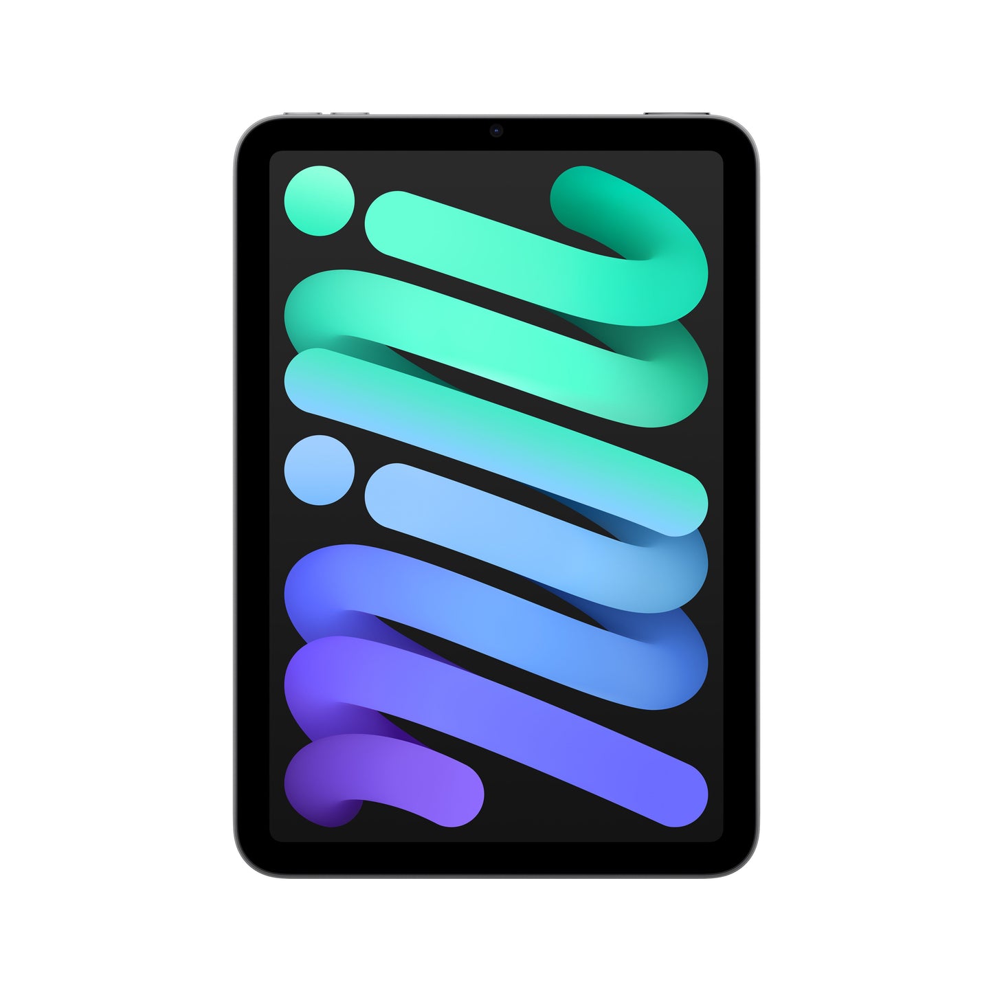 iPad_mini_Space_Gray_PDP_Image_Position_1_WiFi__en-ME