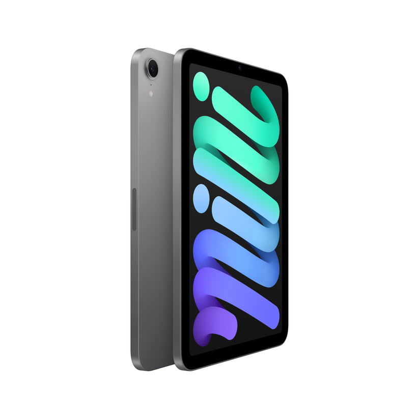 iPad_mini_Space_Gray_PDP_Image_Position_3_WiFi__en-ME