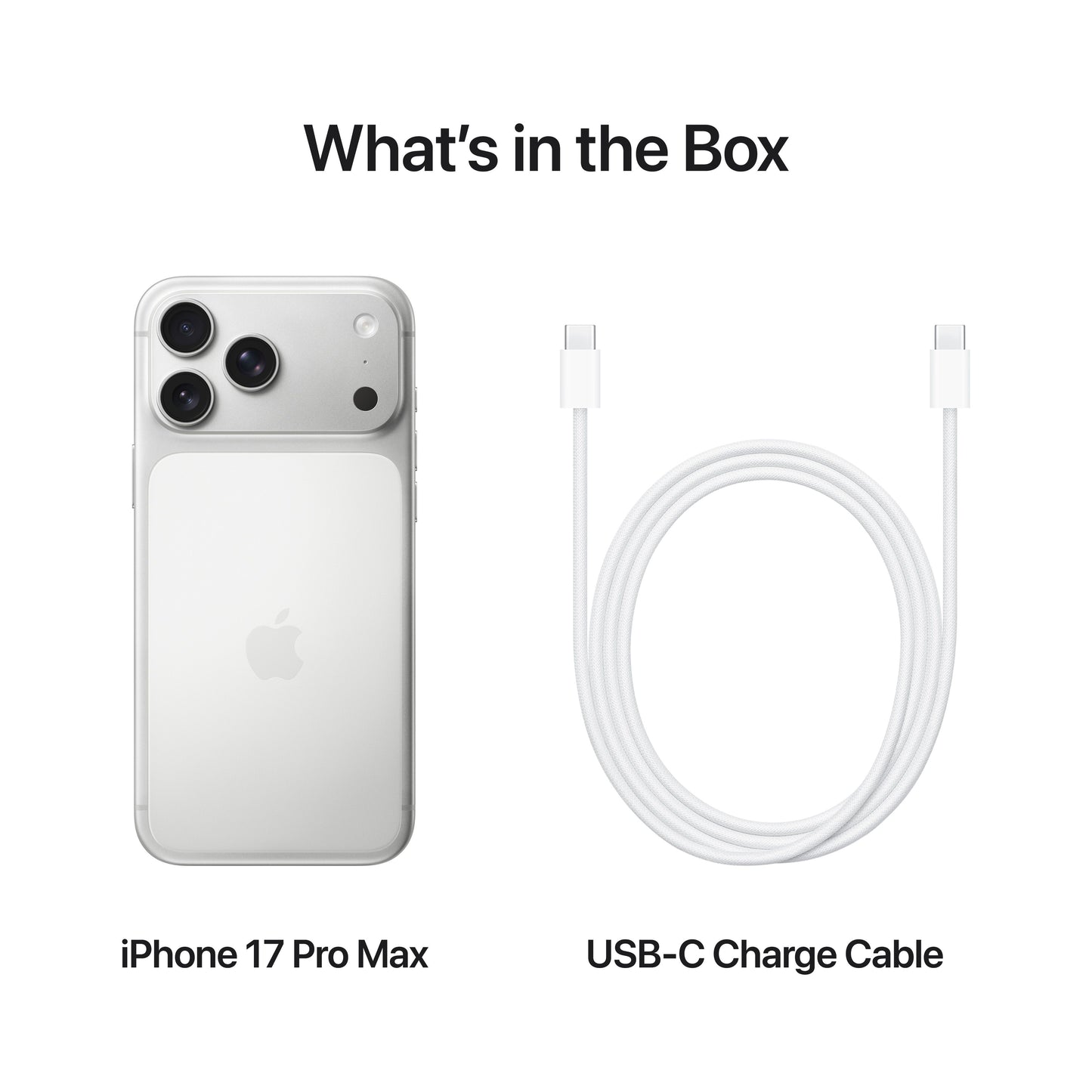 iPhone_17_Pro_Max_Silver_PDP_Image_Position_8__en-AE