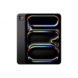 11-inch iPad Pro WiFi 256GB with Standard glass - Space Black