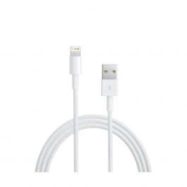Apple - Lightning to USB Cable (2 m)